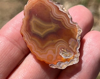 Alimajo Agate Milawi small slab polished face lapidary supplies