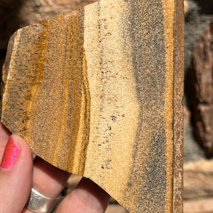 Immagine Jasper Lapidary Slab pietra naturale non lucidata per cabbazione Rolling Hills