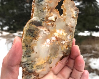 Graveyard Point Plume Agate Lapidary Slab natural stone not polished for cabochons