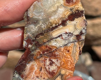 Crazy Lace Agate Lapidary Slab natural stone not polished for cabbing