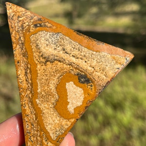Picture Jasper Lapidary Slab pietra naturale non levigata per cablare Rolling Hills