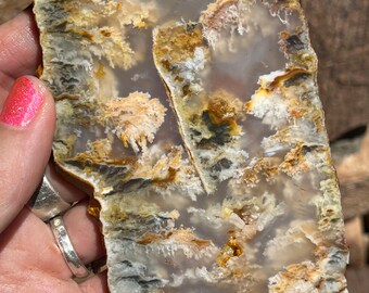 Graveyard Point Plume Agate Lapidary Slab natural stone not polished for cabochons