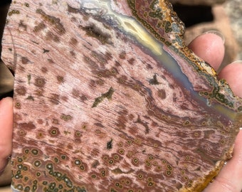 Ocean Jasper Lapidary Slab natural stone not polished for cabbing