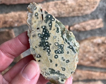 Ocean Jasper Lapidary Slab natural stone not polished for cabbing