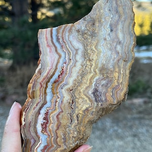 May include: A large, flat piece of agate with a wavy, banded pattern in shades of brown, white, red, and gold. The agate has a rough, natural surface.