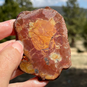 May include: A close-up of a red, orange, and white agate stone with a natural, irregular shape. The stone has a smooth, polished surface and intricate patterns.