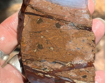 Mystery Picture Jasper Lapidary Slab natural stone not polished for cabbing