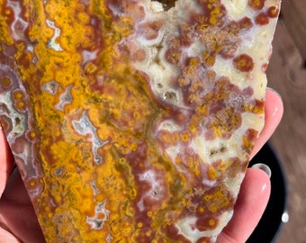 Ocean Jasper Lapidary Slab natural stone not polished for cabbing