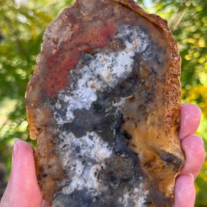 May include: A polished agate slab featuring a mix of earthy tones including amber, rust red, charcoal gray, and white. The stone has a translucent, glossy surface with organic, marbled patterns and a jagged, natural outer edge.