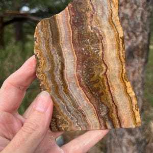 May include: A flat, polished slab of banded agate stone featuring vertical layers of earthy colours including deep brown, rust red, cream, and translucent white. The mineral specimen displays intricate, wavy, and organic patterns throughout its surface.