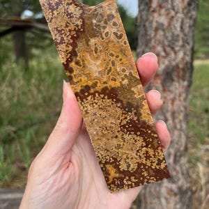 May include: A rectangular slab of polished stone featuring a complex pattern of deep brown, golden yellow, and cream-coloured inclusions. The surface displays a dense, mottled texture with organic, circular, and irregular shapes throughout the piece.