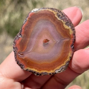 May include: A slice of agate with a brown, orange, and pink banded pattern. The agate has a rough, textured edge.