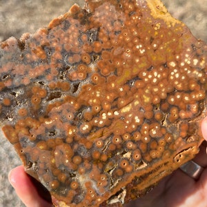 Ocean Jasper Lapidary Slab natural stone not polished for cabbing