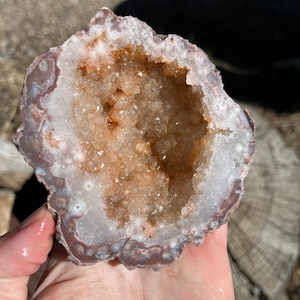 Puma Agate Geode with drusy center lapidary supplies