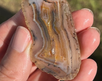 Montana Agate Lapidary Slab natural stone not polished for cabbing