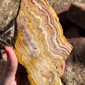 Peut inclure: Une grande pièce plate d'agate avec un motif tourbillonnant de jaune, orange, blanc et brun. L'agate a une surface lisse et polie.