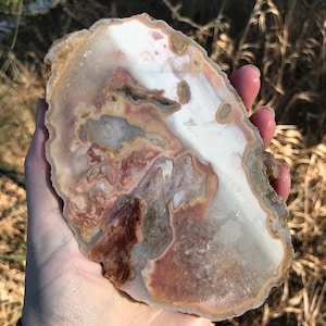Condor Agate Lapidary Half Nodule natural stone not polished large