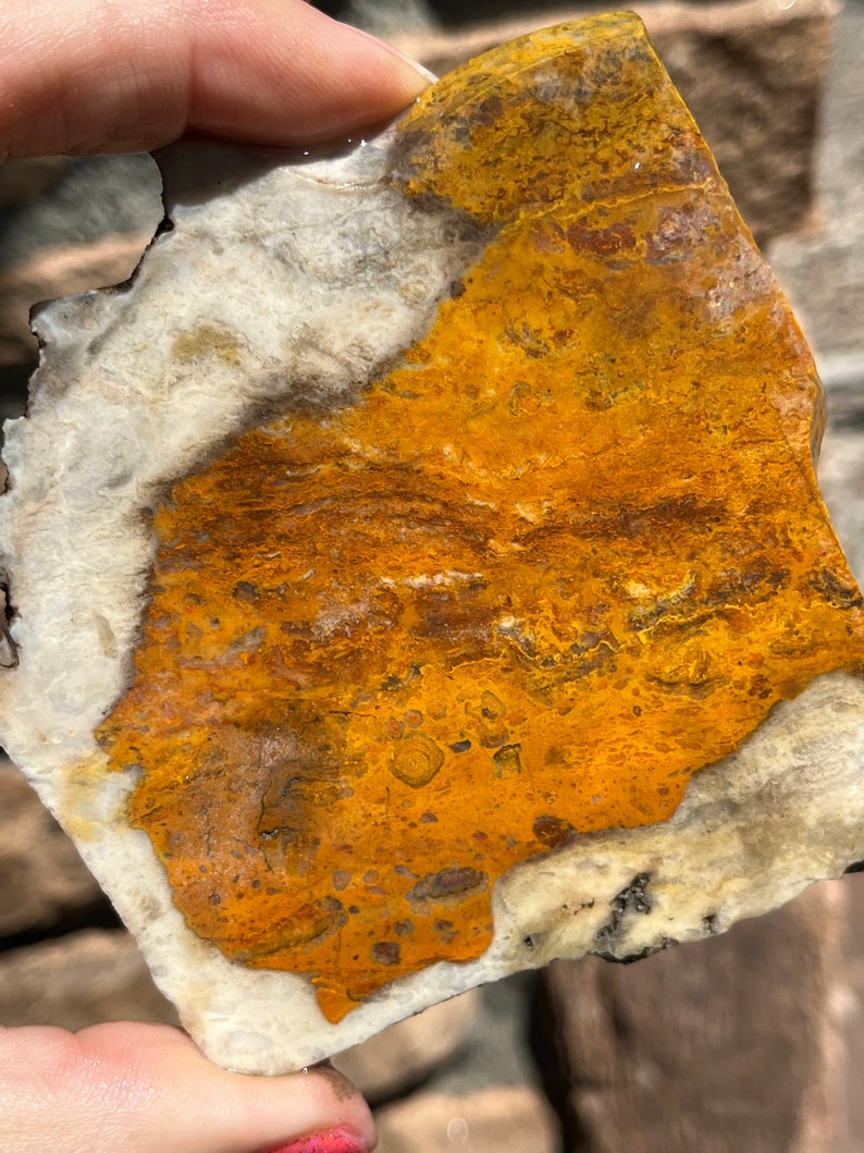 Bumblebee Jasper Lapidary Slab natural stone not polished for cabbing image 1