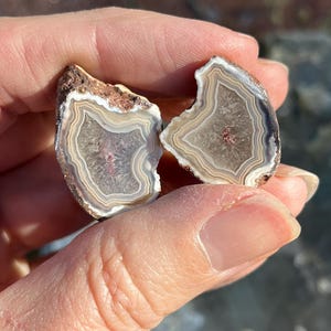 May include: Two halves of a polished agate stone, displaying concentric bands of beige, grey, and white. The centre of each piece has a reddish hue. The outer edges have a rough, brown texture.