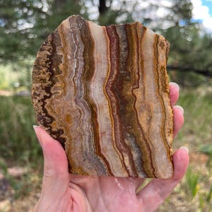 May include: A polished slab of banded agate featuring vertical layers of earthy tones including deep brown, rust orange, cream, and translucent white. The stone displays a natural, wavy, and intricate pattern throughout its flat, semi-circular surface.