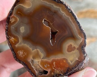 Coyamito Agate Nodule Mexico polished AA