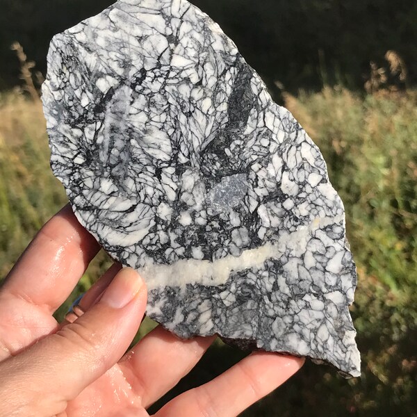 Pinolith Lapidary Lalab pietra naturale non lucidata per cabbing bianco e nero