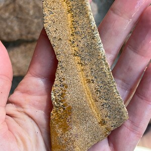 Immagine Jasper Lapidary Slab pietra naturale non lucidata per cabbazione Rolling Hills