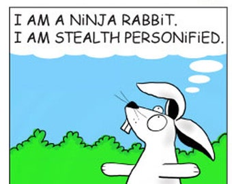 5-Pack Ninja Rabbit Cartoon All-Occasion Note Cards 5"X7"