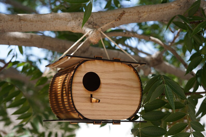 The Nutshell, Birdhouse, Birdhouse kit, DIY birdhouse, Spring project, Summer project image 1