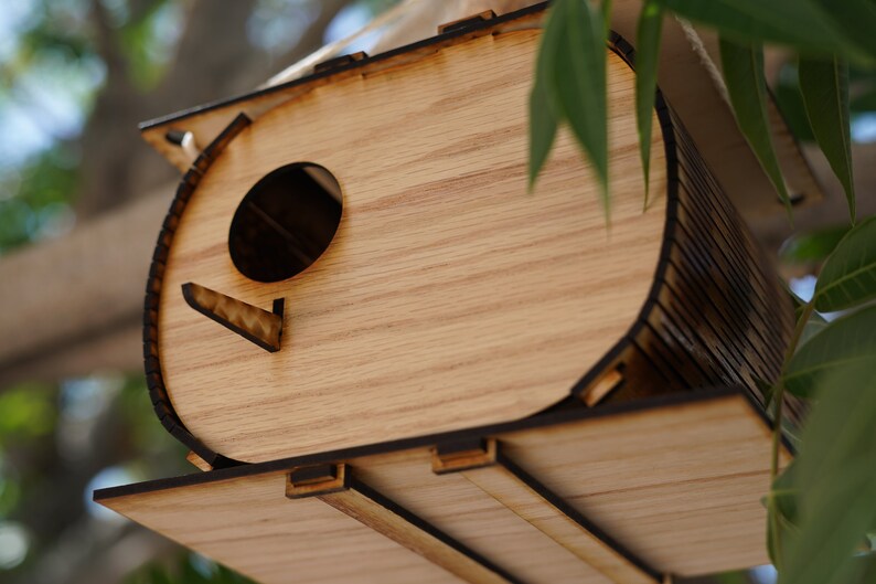 The Nutshell, Birdhouse, Birdhouse kit, DIY birdhouse, Spring project, Summer project image 3