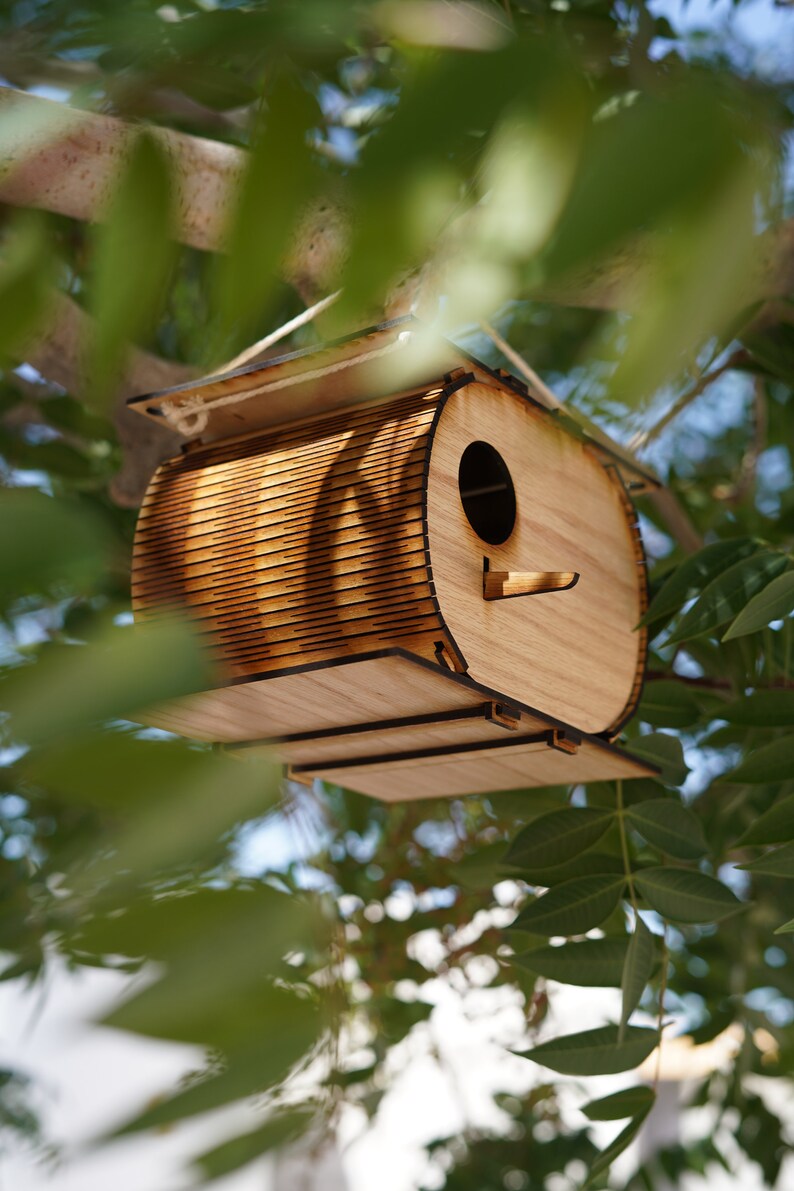 The Nutshell, Birdhouse, Birdhouse kit, DIY birdhouse, Spring project, Summer project image 4