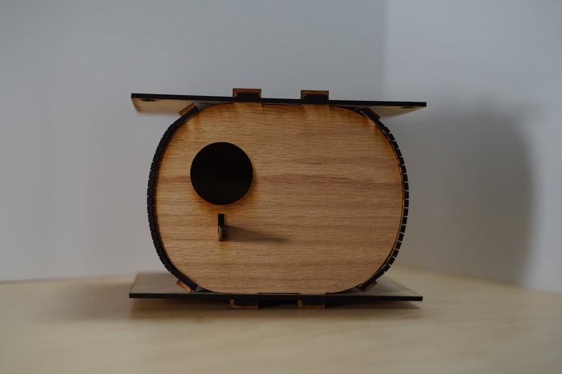 The Nutshell, Birdhouse, Birdhouse kit, DIY birdhouse, Spring project, Summer project image 8