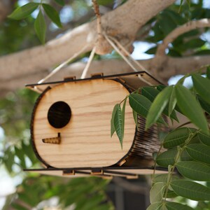 The Nutshell, Birdhouse, Birdhouse kit, DIY birdhouse, Spring project, Summer project image 5