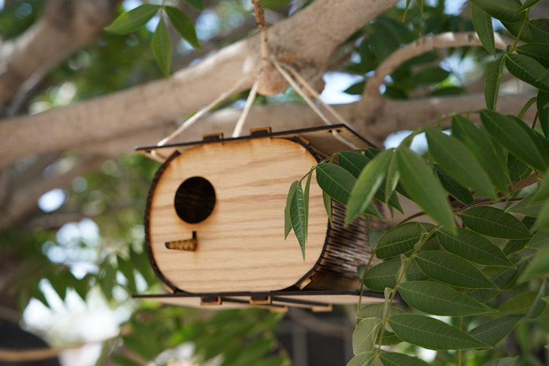 The Nutshell, Birdhouse, Birdhouse kit, DIY birdhouse, Spring project, Summer project image 5