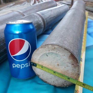 3.5&quot; Fresh Cut Bamboo - choose from 1 to 8 feet long