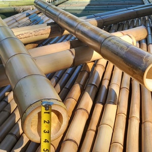 4&quot; Flame Cured Bamboo - choose from 1 to 7 feet long