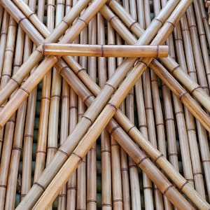 2&quot; Flame Cured Bamboo - choose from 1 to 8 feet long