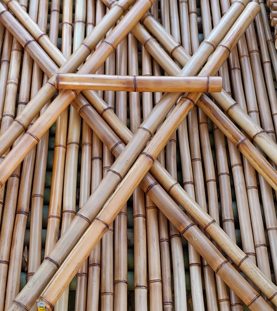 Bamboo Pole -  Canada