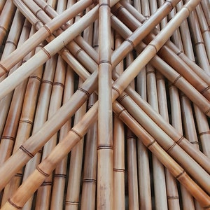 1.5" Flame Cured Bamboo - choose from 1 to 8 feet long