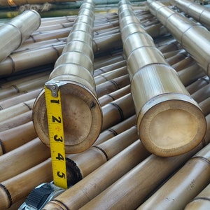 3.5&quot; Flame Cured Bamboo - choose from 1 to 8 feet long