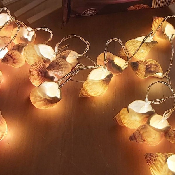 Handmade real seashell Fairy lights, perfect for birthday gift, anniversary, wedding gift or decoration in your home.