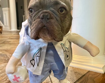 Docteur Nurse Costume de chien | Costume d’animal d’Halloween | Costume médical pour animaux de compagnie | Doctor Pet Costume | Costume d’Halloween de l’infirmière