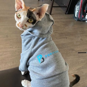 K&ouml;nnte beinhalten: Eine wei&szlig;e, braune und schwarze Katze tr&auml;gt einen grauen Kapuzenpullover mit dem Logo "P PARAGON" auf der Vorderseite.