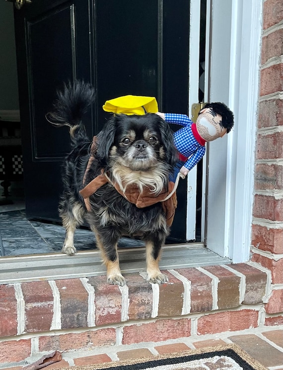Pet Halloween Costume Cowboy Ride on Halloween Costume Rodeo Cowboy Dog Costume Ride on Dog Costume Etsy