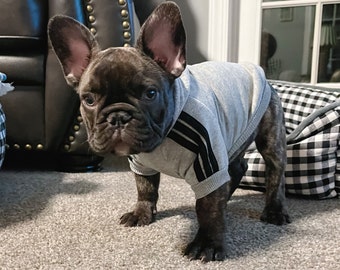 Dog Sweater | Blank Dog Hoodie Free Personalization | Pet Sweatshirt | Personalized Pet Sweatshirt | Custom Pet Hooded Sweatshirt Clothing