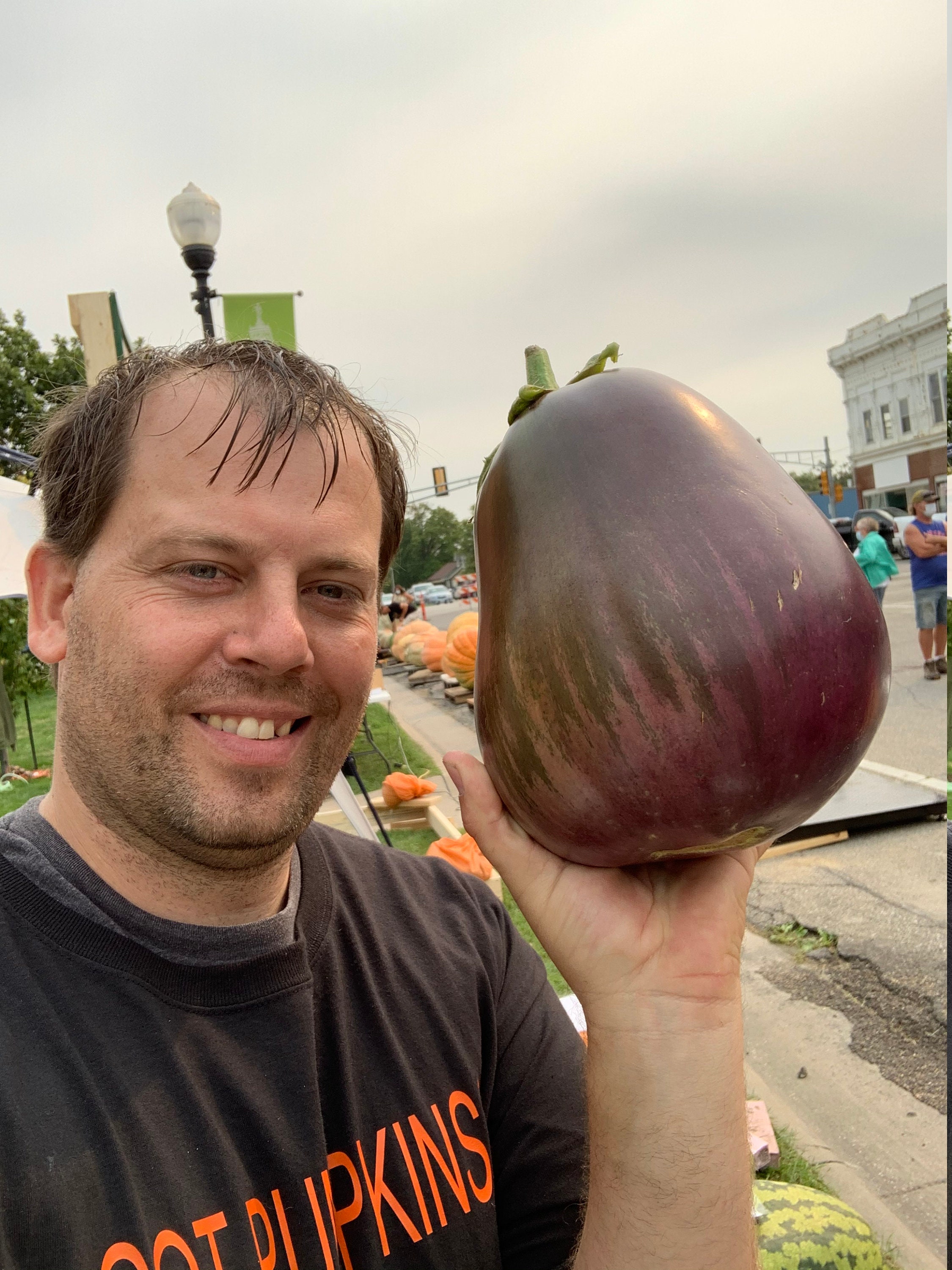 Giant Eggplant Aubergine seeds Etsy