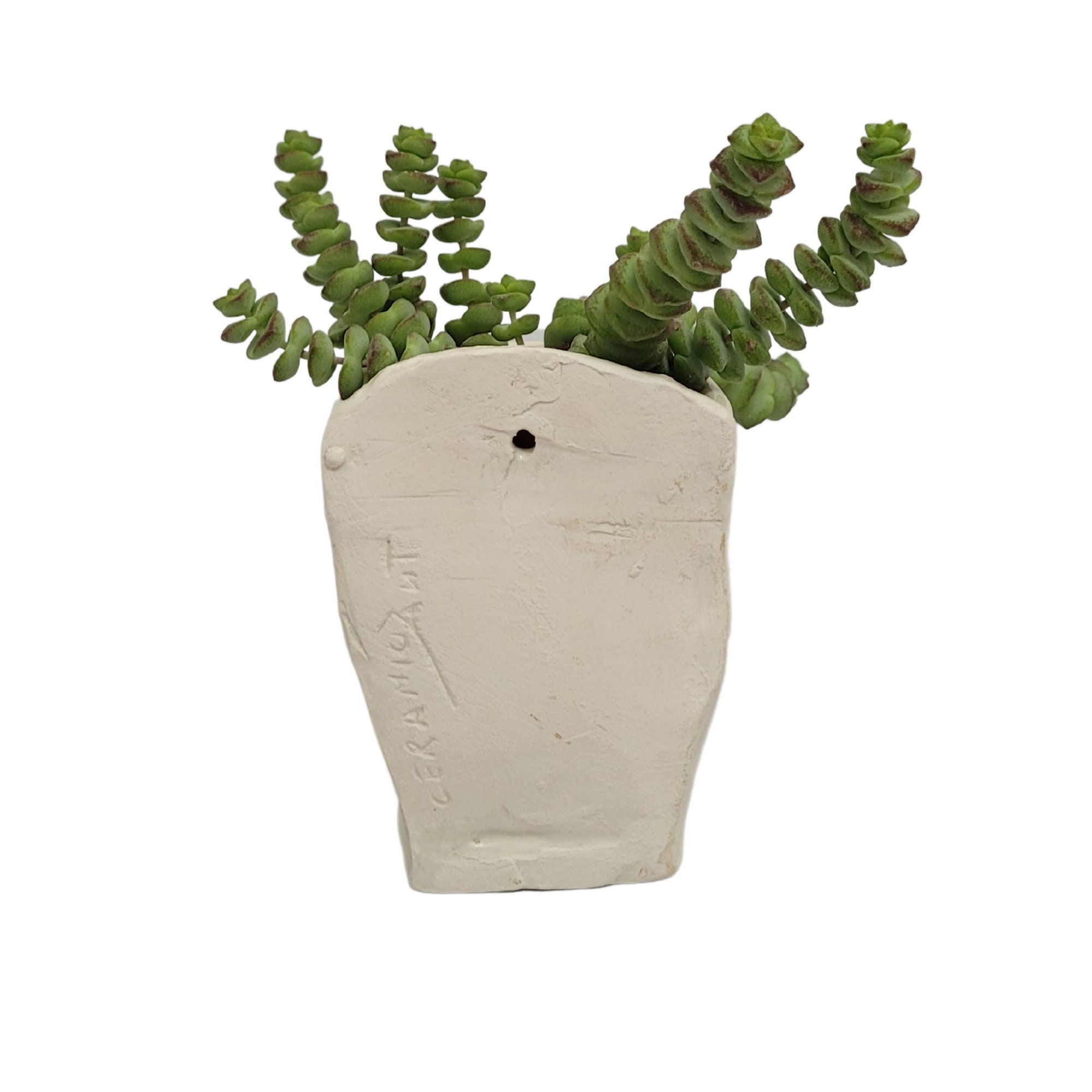 Vase for Indoor / Outdoor Plants in Artisan Ceramic ideal for Etsy