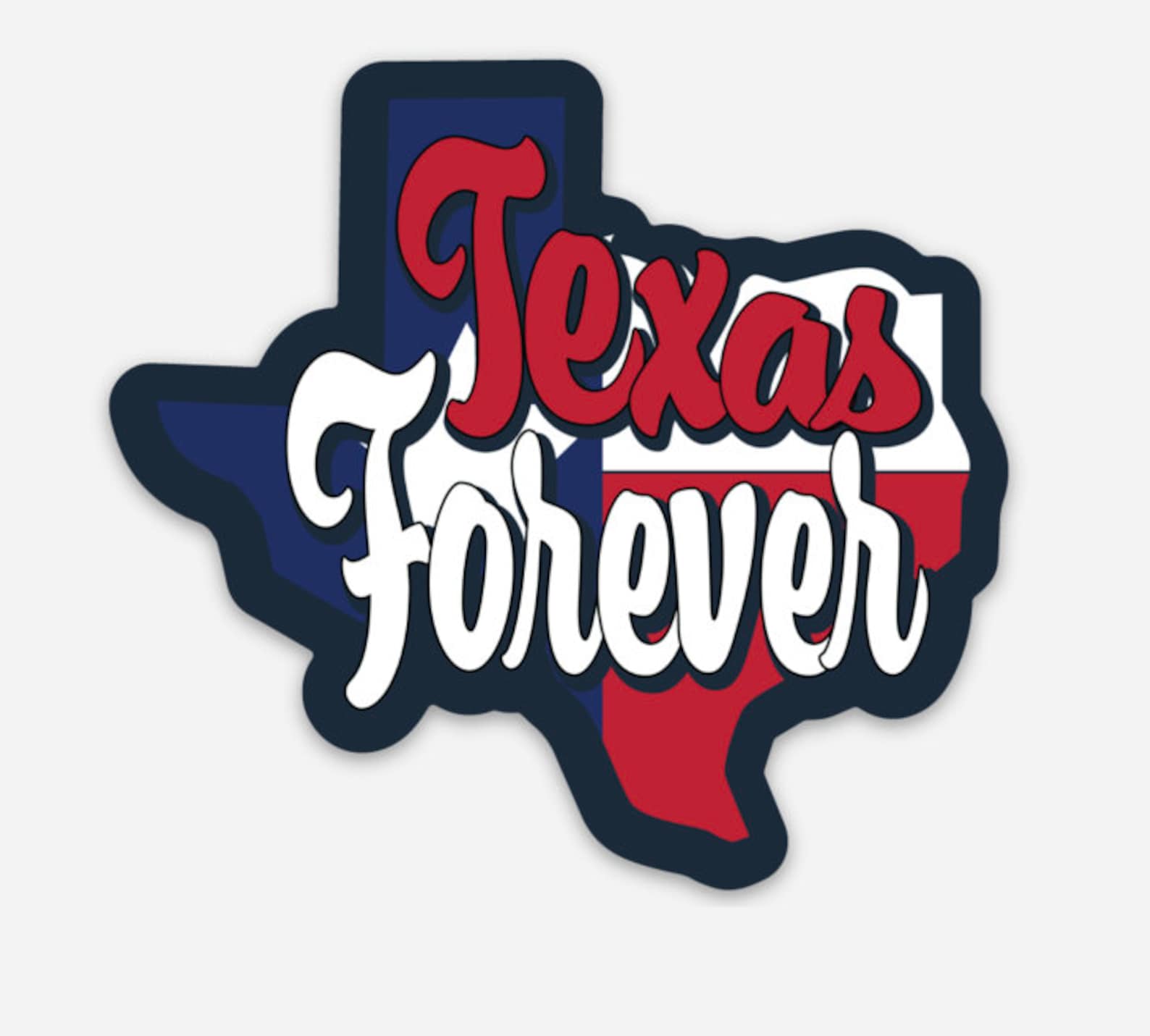 Texas Sticker Pack Set of 5 or Individual Etsy