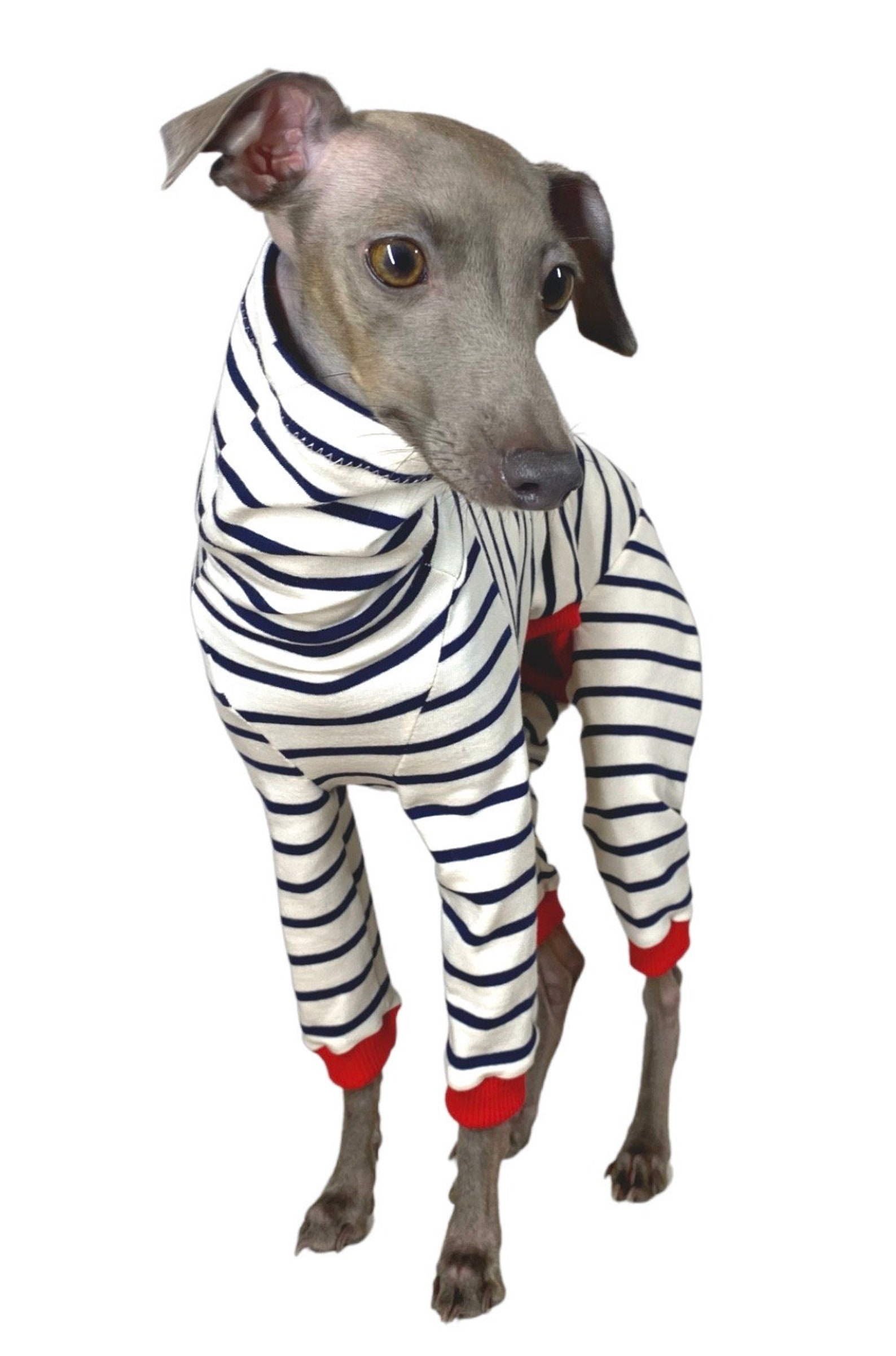 ITALIAN GREYHOUND CLOTHING Warm fashionable and comfy Etsy