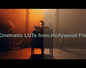 6 Cinematic LUTs van Films Hollywood (John Wick, De Agent van het blad, De Club van de strijd)